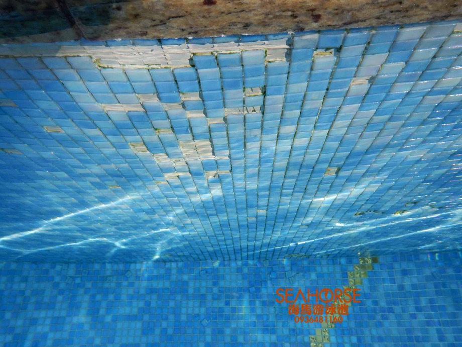 20170116-海馬游泳池-#55不鏽鋼游泳池維修工程-工作日誌